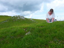 Gudula Haug 7