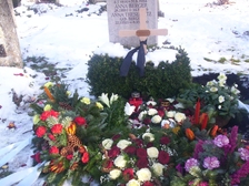 Günther Thesenvitz 7