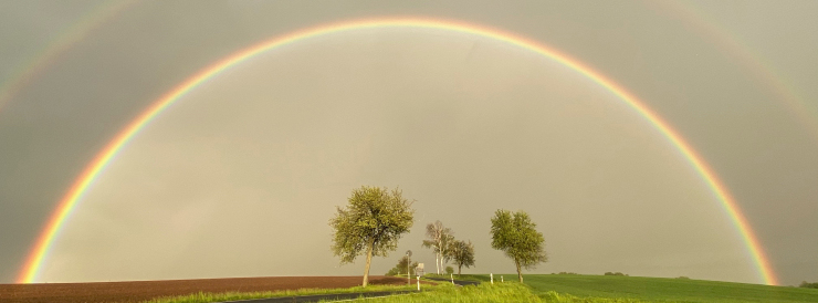 Stimmungsbild-Guido-Henkes-1