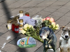 Hank Aus Niedernhall 12