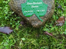 Hannes Hamm 1