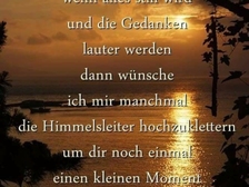 Hans-Eckhard Hofer 13