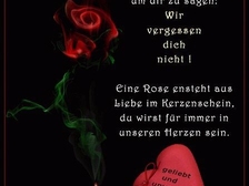 Hans-Eckhard Hofer 16