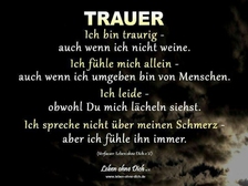 Hans-Eckhard Hofer 24