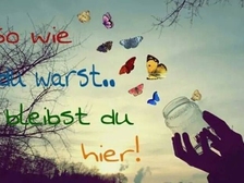 Hans-Eckhard Hofer 36