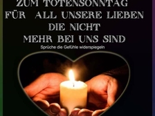 Hans-Eckhard Hofer 40