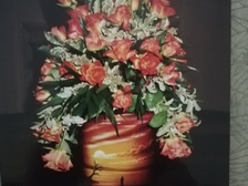 Hans-Eckhard Hofer 9