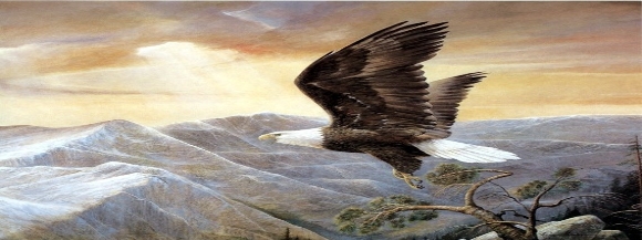 Stimmungsbild-Hans-Georg-Weber-1