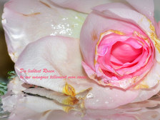 Hans-Joachim Becker 13