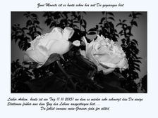 Hans-Joachim Becker 16