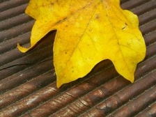 Hans-Joachim Becker 19