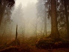 Hans-Joachim Becker 20