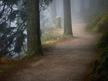 Hans-Joachim Becker 21