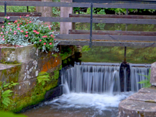 Hans-Joachim Becker 5