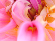 Hans-Joachim Becker 9