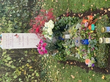 Hans-Joachim Schmidt 50