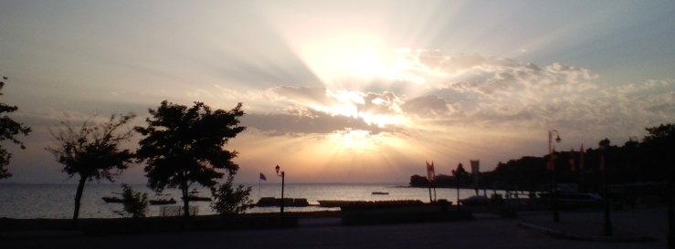 Stimmungsbild-Harald-Löhnert-1