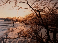 Hartmann Mulfinger 8