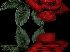 Heinz Günter Musielak 1