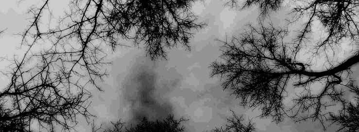 Stimmungsbild-Heinzbert-Klüter-1