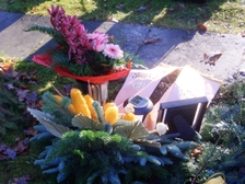 Helga Fleischhauer 8