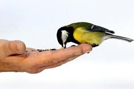 Stimmungsbild-Henry-Yassin-1