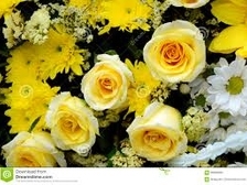 Howard Andrew Andy Williams 4