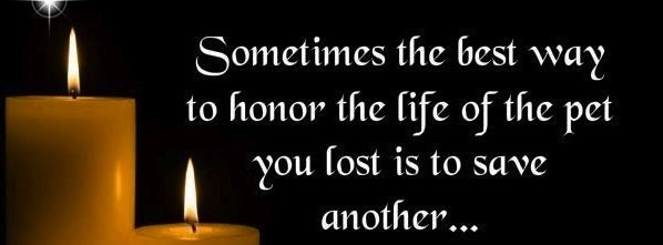 Stimmungsbild-Hubert-Jordan-2