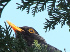 Ihr seid Unvergessen 24