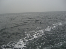 Ingeborg Johanna Ida Lebang 10