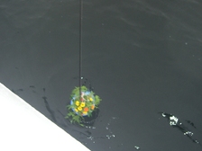 Ingeborg Johanna Ida Lebang 7