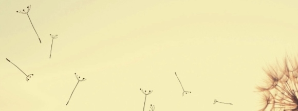 Stimmungsbild-Ingrid-Grigat-1