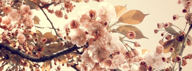 Stimmungsbild-Ingrid-Nörtemann-1