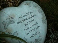 Iris Heim 7