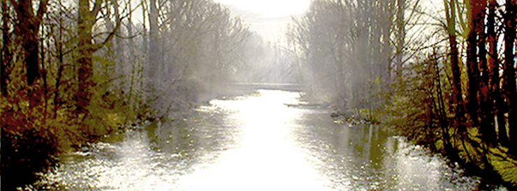 Stimmungsbild-Irmgard-Stump-1
