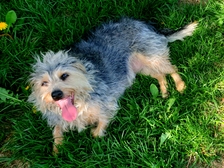 Irmtraut Herrmann 26