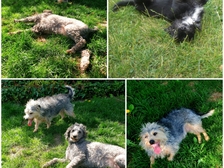 Irmtraut Herrmann 27