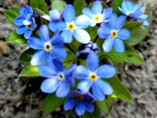 Irmtraut Herrmann 29