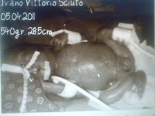 Ivano Vittorio Sciuto 3