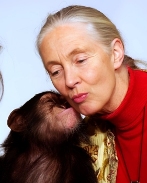 Jane Goodall