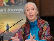 Jane Goodall 11