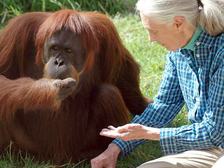 Jane Goodall 13