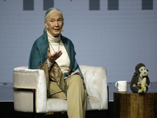 Jane Goodall 14