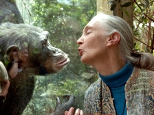 Jane Goodall 17