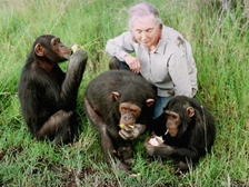 Jane Goodall 26