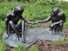Jane Goodall 2