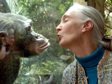 Jane Goodall 30