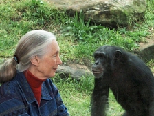 Jane Goodall 33