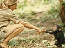 Jane Goodall 34