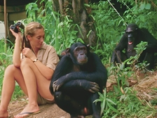Jane Goodall 35